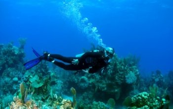 3D2N Banyuwangi Sharing Tour